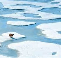 2019: IJsniveau zeer laag op Noordpool