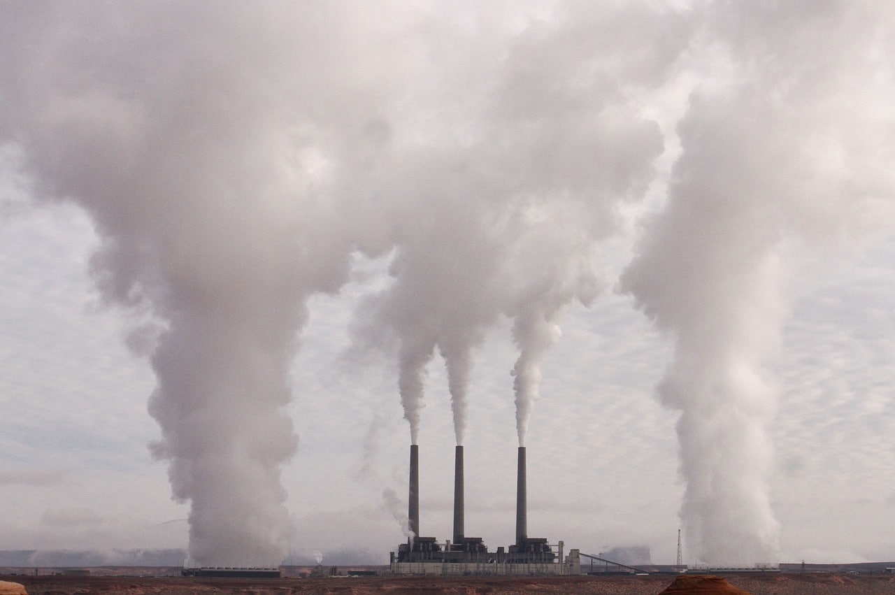 We spreken nu alleen over CO2 reductie maar hoe zit het met het verwijderen van CO2 uit de lucht?