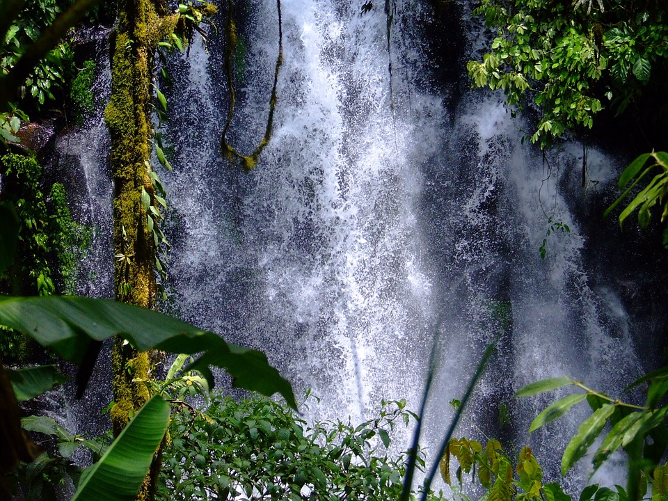 Steeds meer droogte in het gebied waar ooit eens de bomen van het regenwoud van Brazilië rivieren vol water in de lucht produceerde.