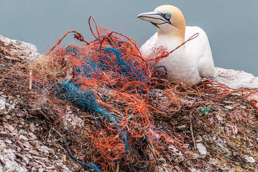 Oceanen vol plastic, een ander probleem dat is veroorzaakt door de voedsel industrie.