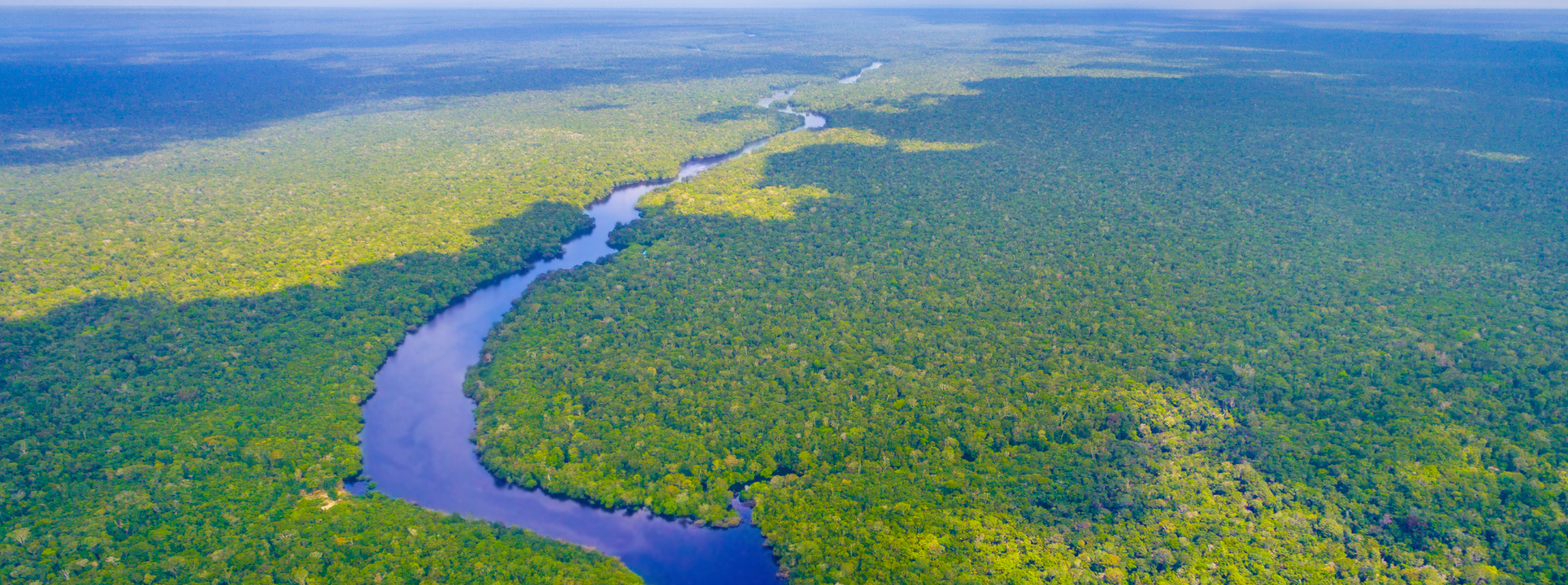 Amazone rivier valt droog