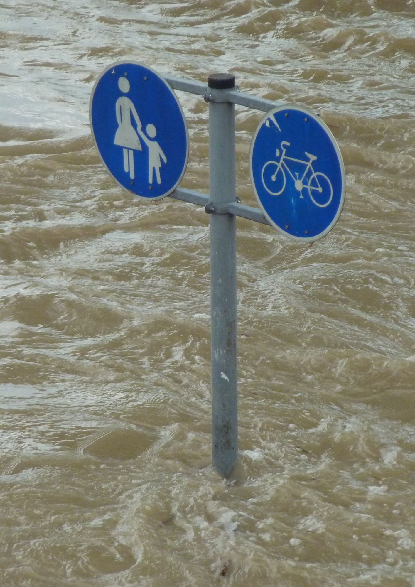 Ecoside strafbaar stellen goede stap voor oplossing klimaatproblemen